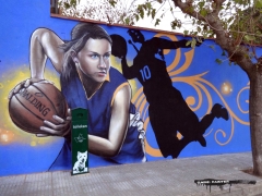 Decoracin exterior con graffiti mural en el polideportivo de botarell