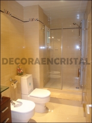 reforma completa de baño en la calle santa Isabel