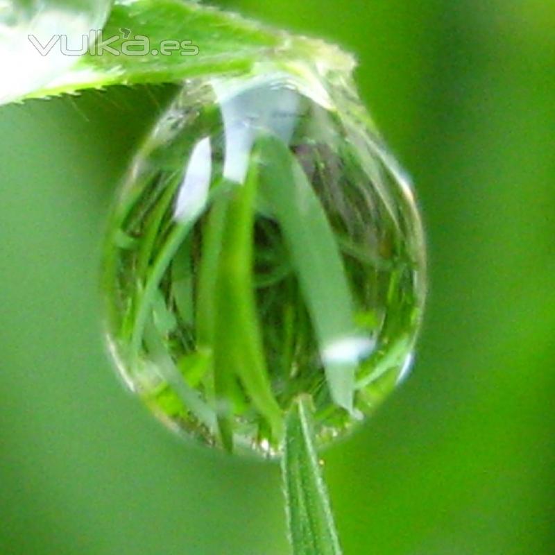 La naturaleza puede ser fascinante