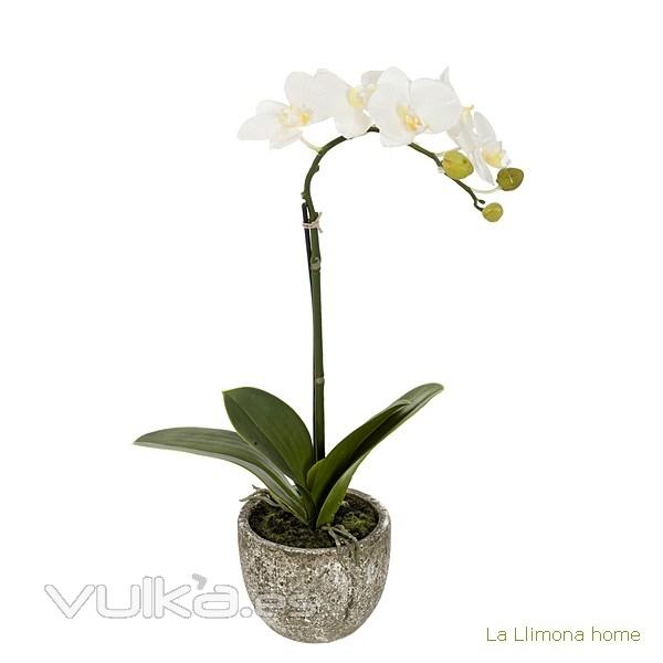 Plantas artificiales con flores. Planta flores orquideas artificiales crema - La Llimona home