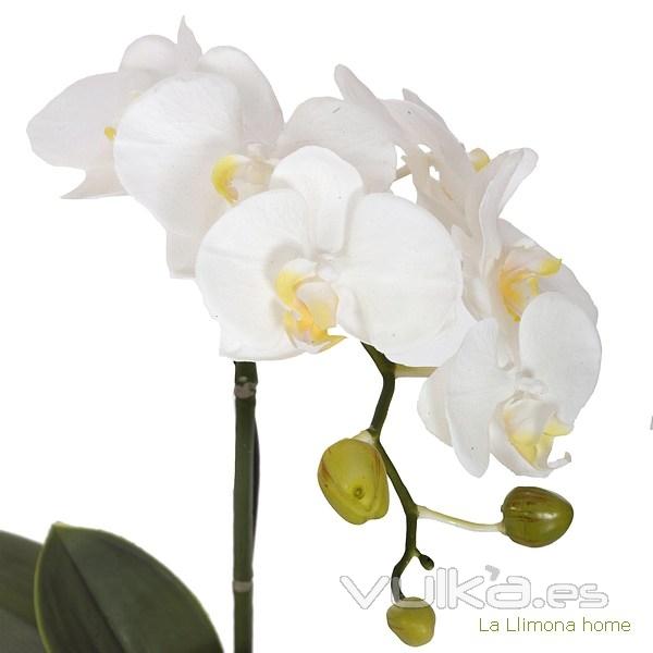 Plantas artificiales con flores. Planta flores orquideas artificiales crema 1 - La Llimona home