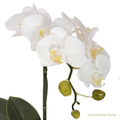 Plantas artificiales con flores planta flores orquideas artificiales crema 1 - la llimona home