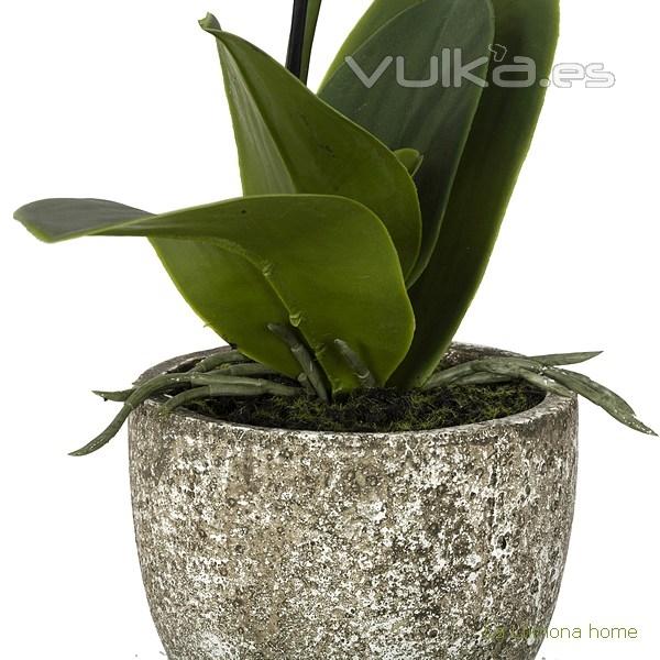 Plantas artificiales con flores. Planta flores orquideas artificiales crema 2 - La Llimona home