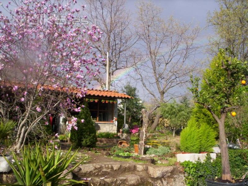 Centro de Jardinería La Berrocosa