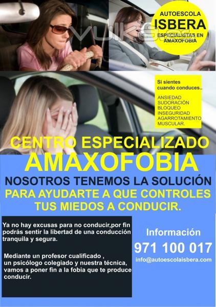 CURSO DE AMAXOFOBIA, con PROFESOR DE SEGURIDAD VIAL  y una PSICOLOGA COLEGIADA