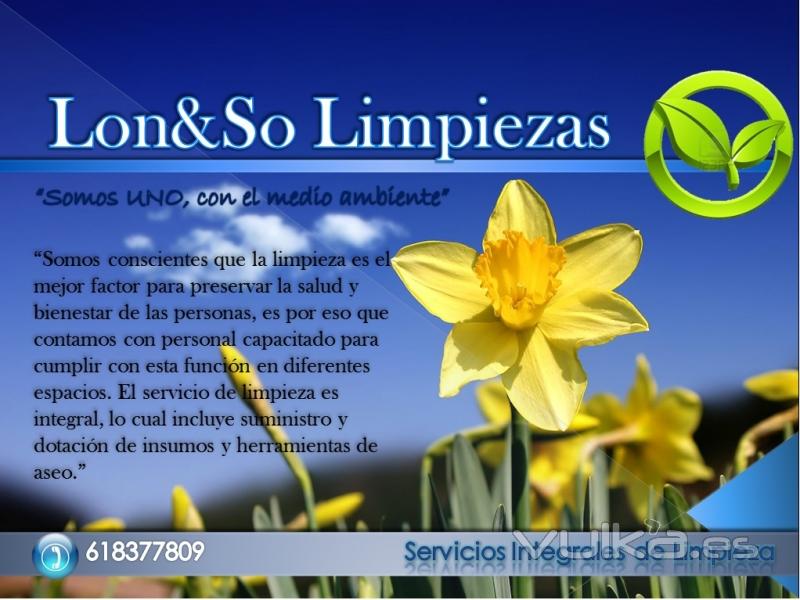 Limpiezas Lonso