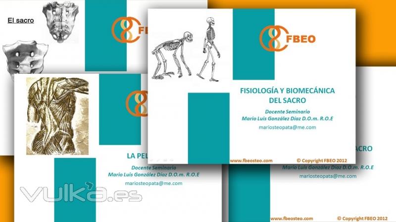 PowerPoints de apoyo a la labor docente de FBEO Formacin Belga-Espaola de Osteopata