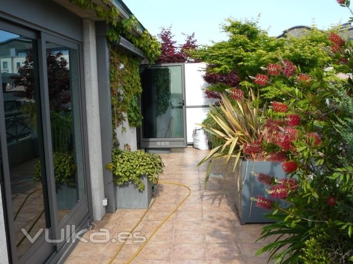 terraza con macetas de fabrica y árboles de gran porte