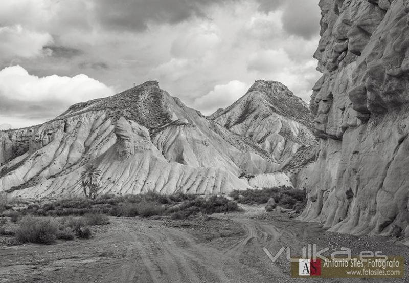 fotografo+naturaleza+almeria+puente+cautivo+rioja+antonio+siles+fotosiles