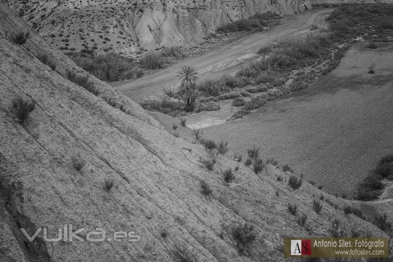 fotografo+naturaleza+almeria+erosion+cautivo+rioja+antonio+siles+fotosiles