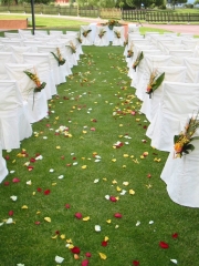 Decoración bodas civiles - Pétalos Naturales
