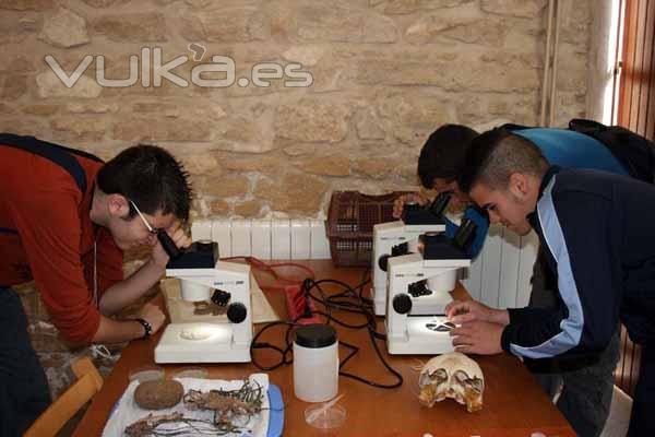 EXCURSIONES DIDCTICAS para escolares y jvenes