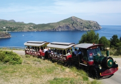 Tren roses expres - foto 18