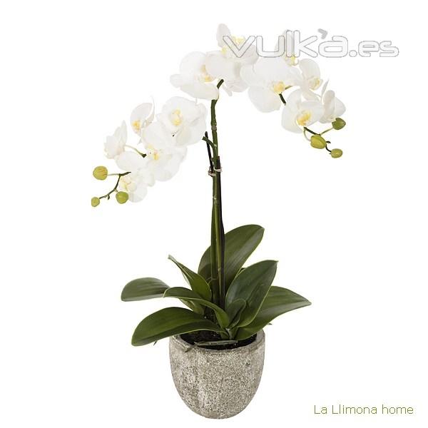 Planta flores orquideas artificiales ramas crema latex 70 - La Llimona home