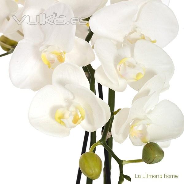 Planta flores orquideas artificiales ramas crema latex 70 1 - La Llimona home
