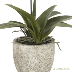 Planta flores orquideas artificiales ramas crema latex 70 2 - la llimona home