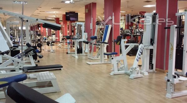 Gimnasio en Alcal de Henares