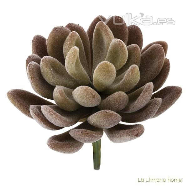 Planta crasa mini echeveria elegans artificial burdeos 10 1 - La Llimona home