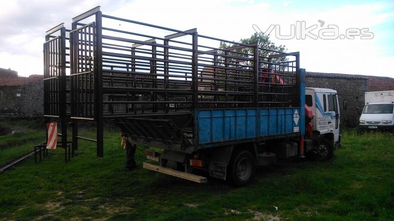 Mangas sanitarias para ganado vacuno.Muecos o cepos para ganado vacuno.