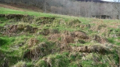 Ingenort servicios geotecnicos y recursos naturales sl - foto 5