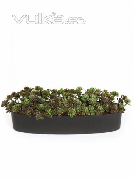 Jardinera plantas crasas artificiales suculent mini Oasis Decor