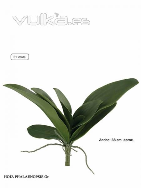 Hojas artificiales phalaenopsis con raices grande Oasis Decor