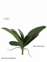 Hojas artificiales phalaenopsis con raices grande oasis decor