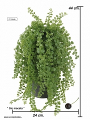 Planta dischidia artificial sin maceta oasis decor
