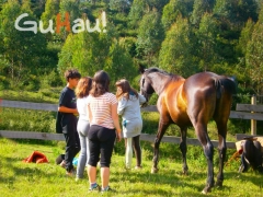 Campamentos con caballos guipuzcoa