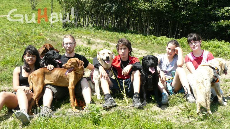 Campamentos con animales en guipuzcoa