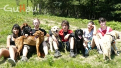 Campamentos con animales en guipuzcoa