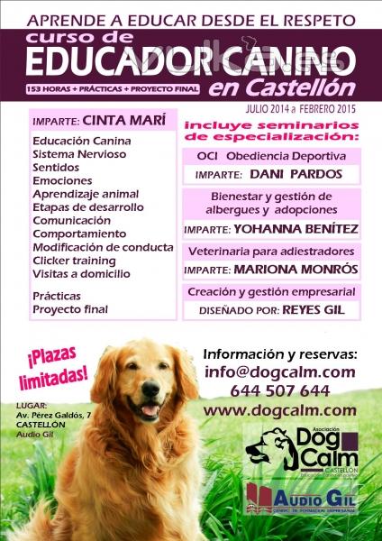 Quieres ser educador canino? Este es tu curso!! En Castelln. Aprende a educar desde el respeto 