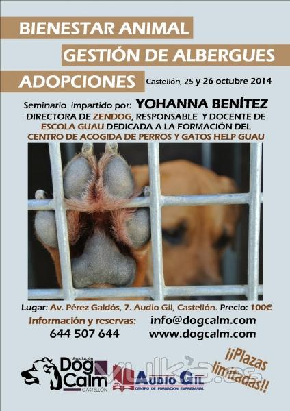 Seminario BIENESTAR ANIMAL, GESTIÓN DE ALBERGUES Y ADOPCIONES, en Castellón