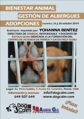 Seminario bienestar animal, gestion de albergues y adopciones, en castellon