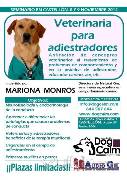 Seminario Veterinaria para adiestradores en CASTELLN