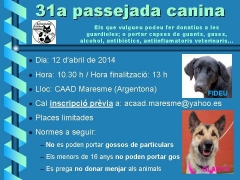 CENTRE VETERINARI LA SALUT