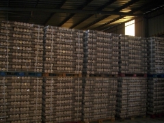 Bricade group,sl - foto 22