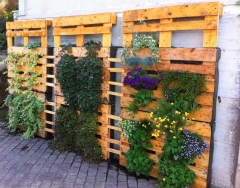 Cotonat service, jardineras con palets reciclados