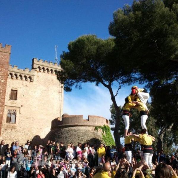 FLORISTERIA EL CASTELL