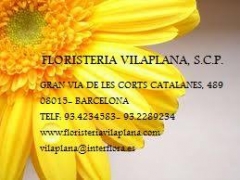 FLORISTERIA VILAPLANA - Foto 2