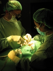 Intervención microquirúrgica