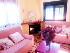 Salon con chimenea