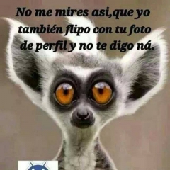 Academia de peluqueria tauro - foto 7
