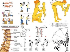 LEON GIMNASIO - Foto 1