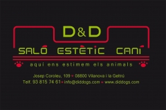 D & D