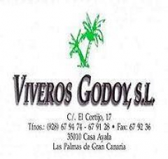 Viveros godoy s.l. - foto 2