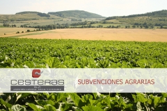 Asesoria cesteras de pedralba en valencia esta especializada en subvenciones agrarias