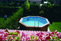 Piscina elevada  diametro 440 cm