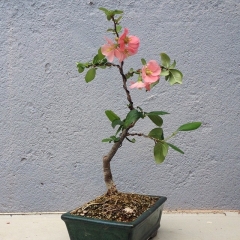 KIRISE - Foto 1