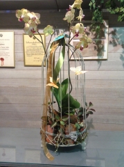 FLORISTERÍA MERCÉ FRANCIA